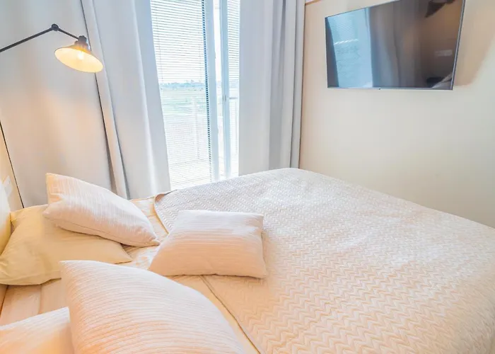 Sunny Polankiaqua * コウォブジェク