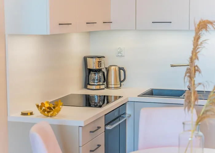 Sunny Polankiaqua コウォブジェク